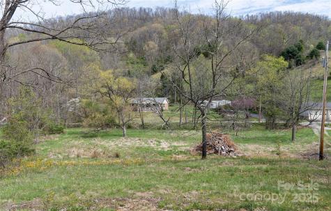 1408 Hamburg Road Mars Hill NC 28754