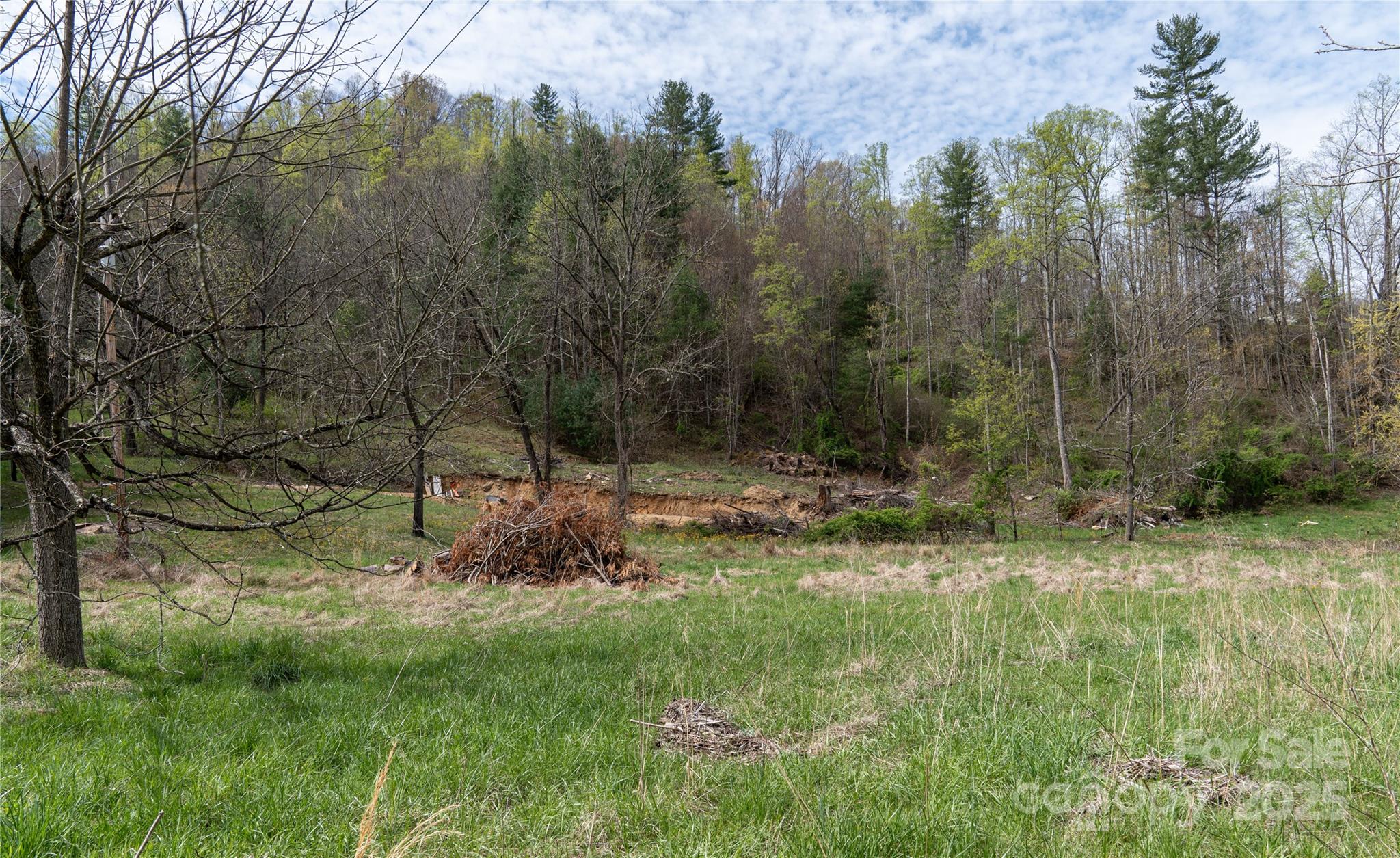 1408 Hamburg Road Mars Hill NC 28754