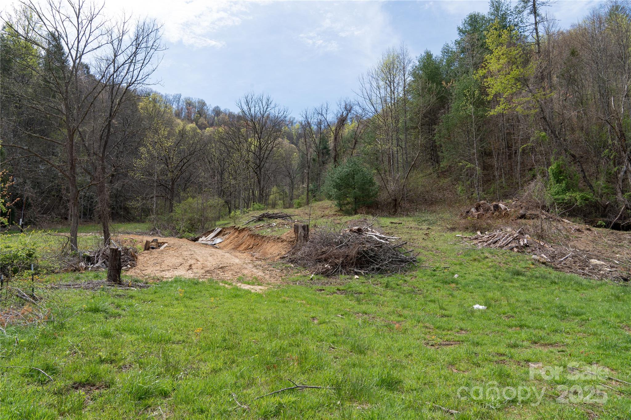 1408 Hamburg Road Mars Hill NC 28754