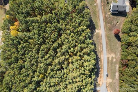 0 Palisade Drive Rutherfordton NC 28139
