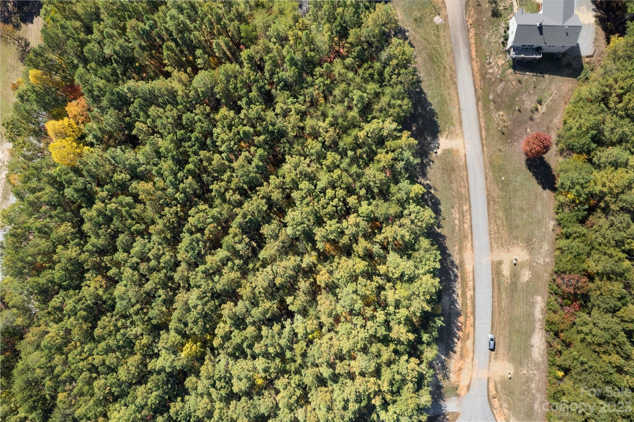 0 Palisade Drive Rutherfordton NC 28139