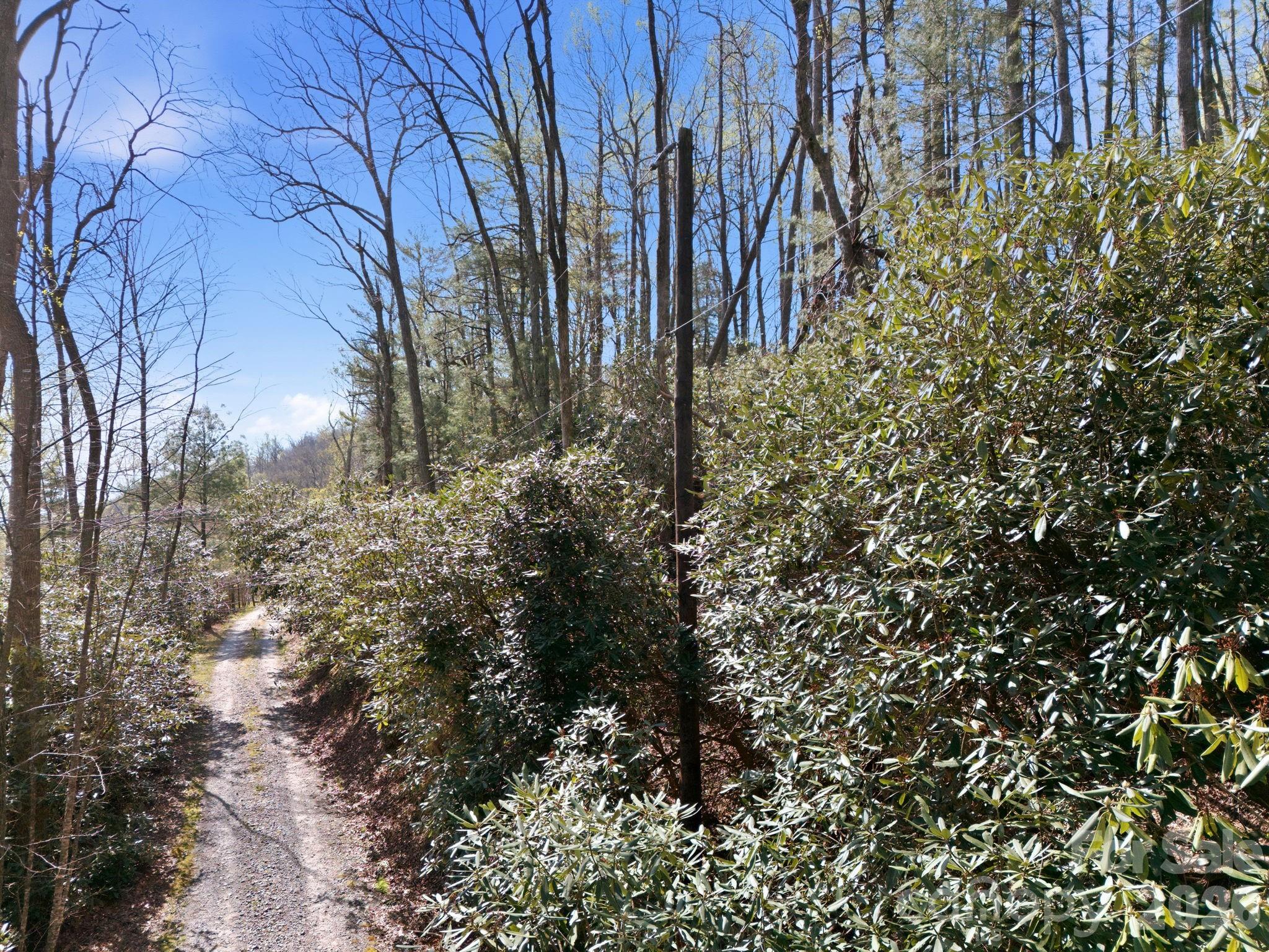 00 Lazy Bear Trail Hendersonville NC 28792