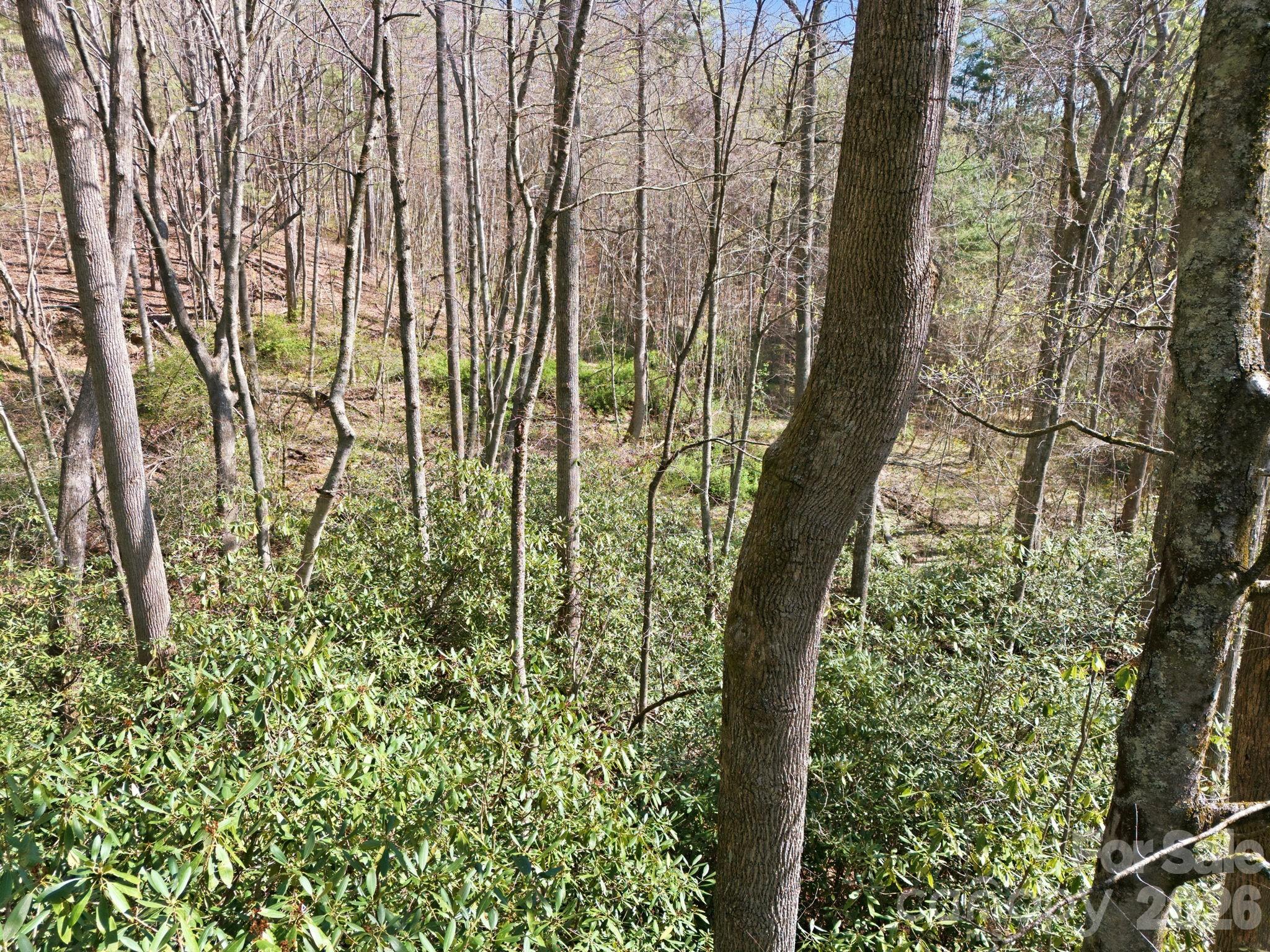 00 Lazy Bear Trail Hendersonville NC 28792