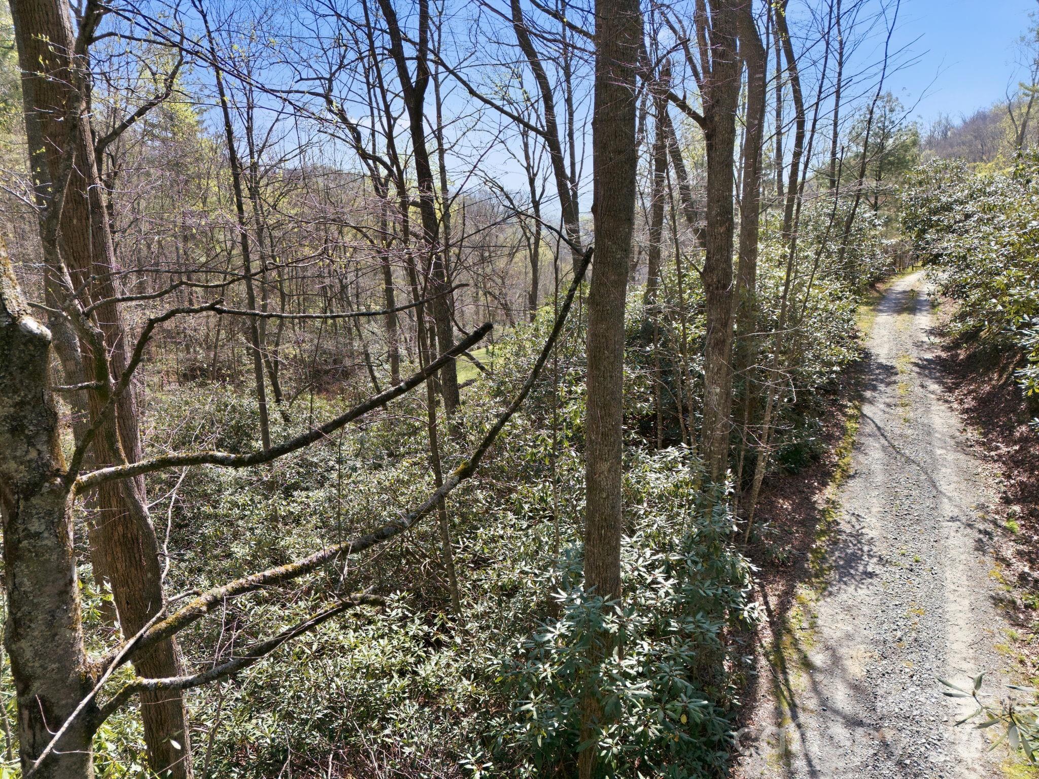 00 Lazy Bear Trail Hendersonville NC 28792