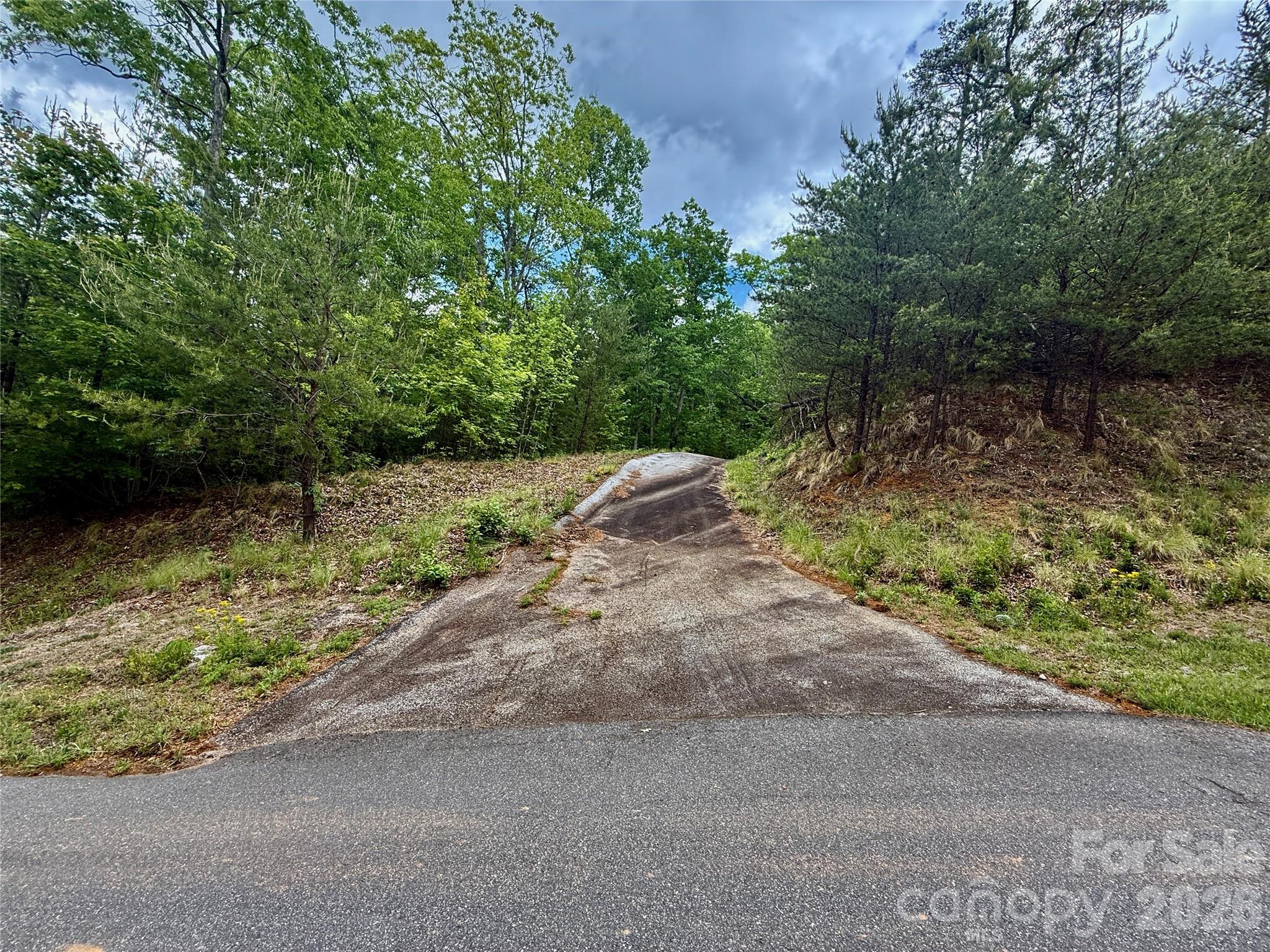 274 Bills Mountain Trail Lake Lure NC 28746