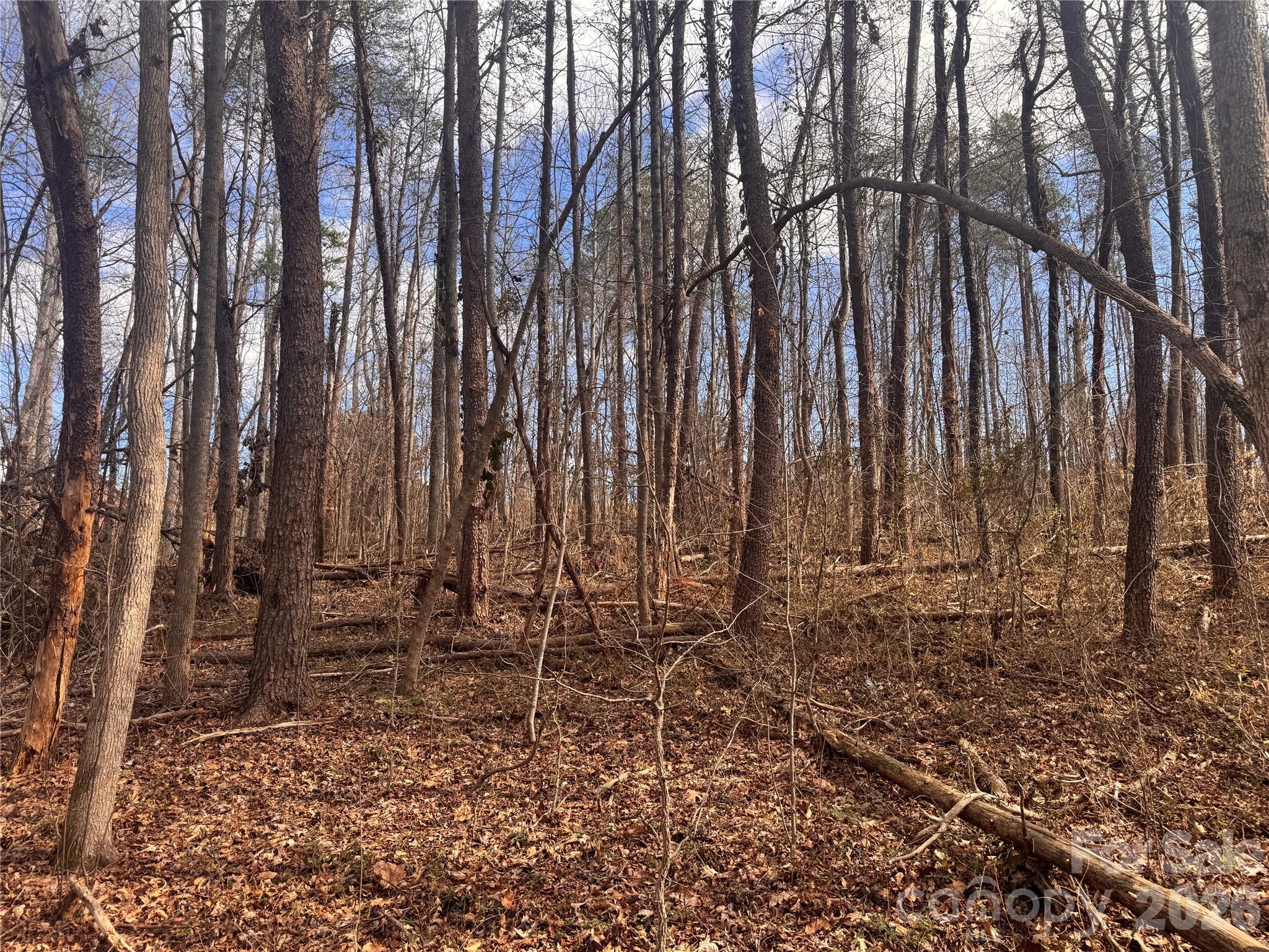 3924 Deer Run Drive NE Conover NC 28613
