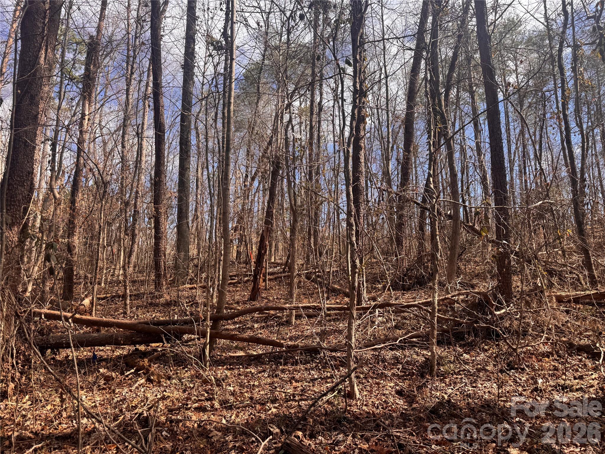 3924 Deer Run Drive NE Conover NC 28613