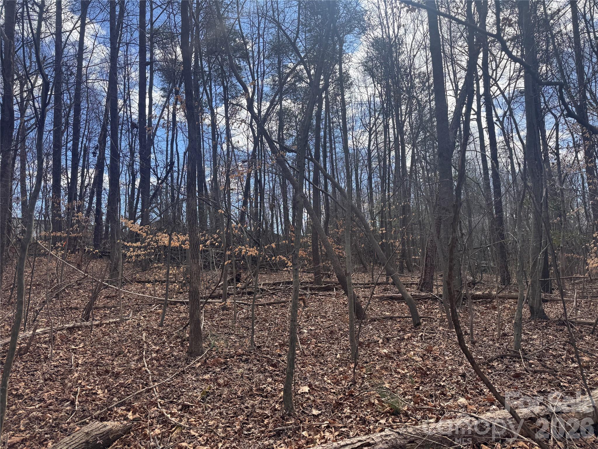 3924 Deer Run Drive NE Conover NC 28613