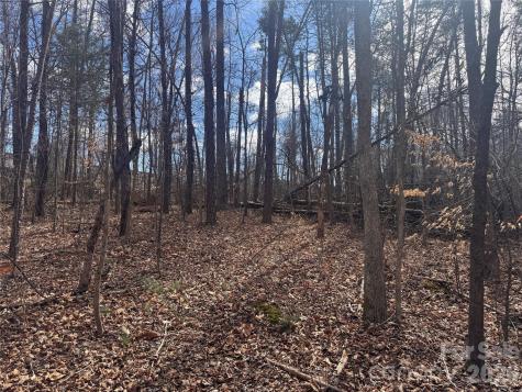 3924 Deer Run Drive NE Conover NC 28613