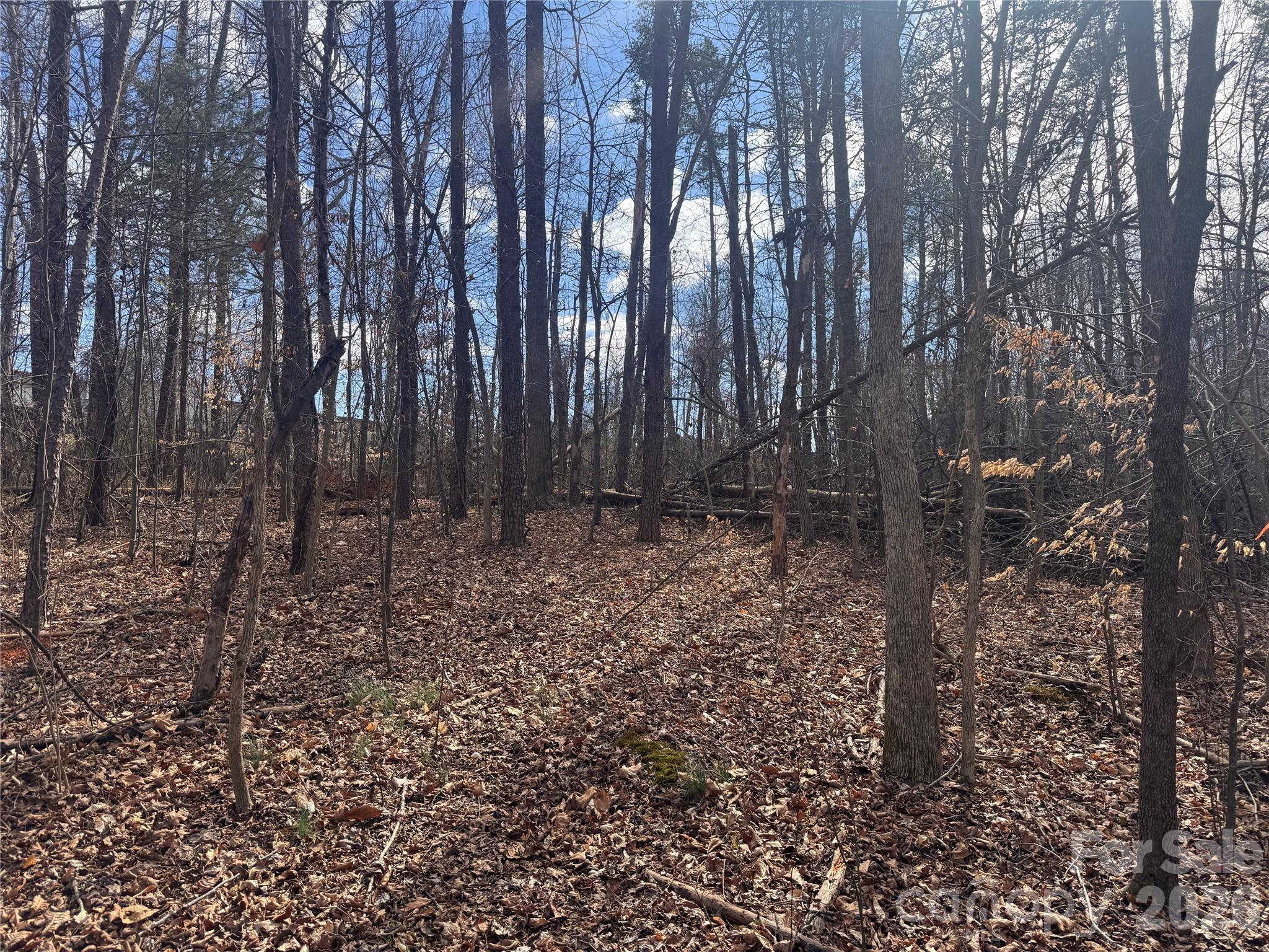 3924 Deer Run Drive NE Conover NC 28613