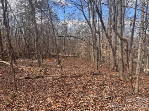 3924 Deer Run Drive NE Conover NC 28613