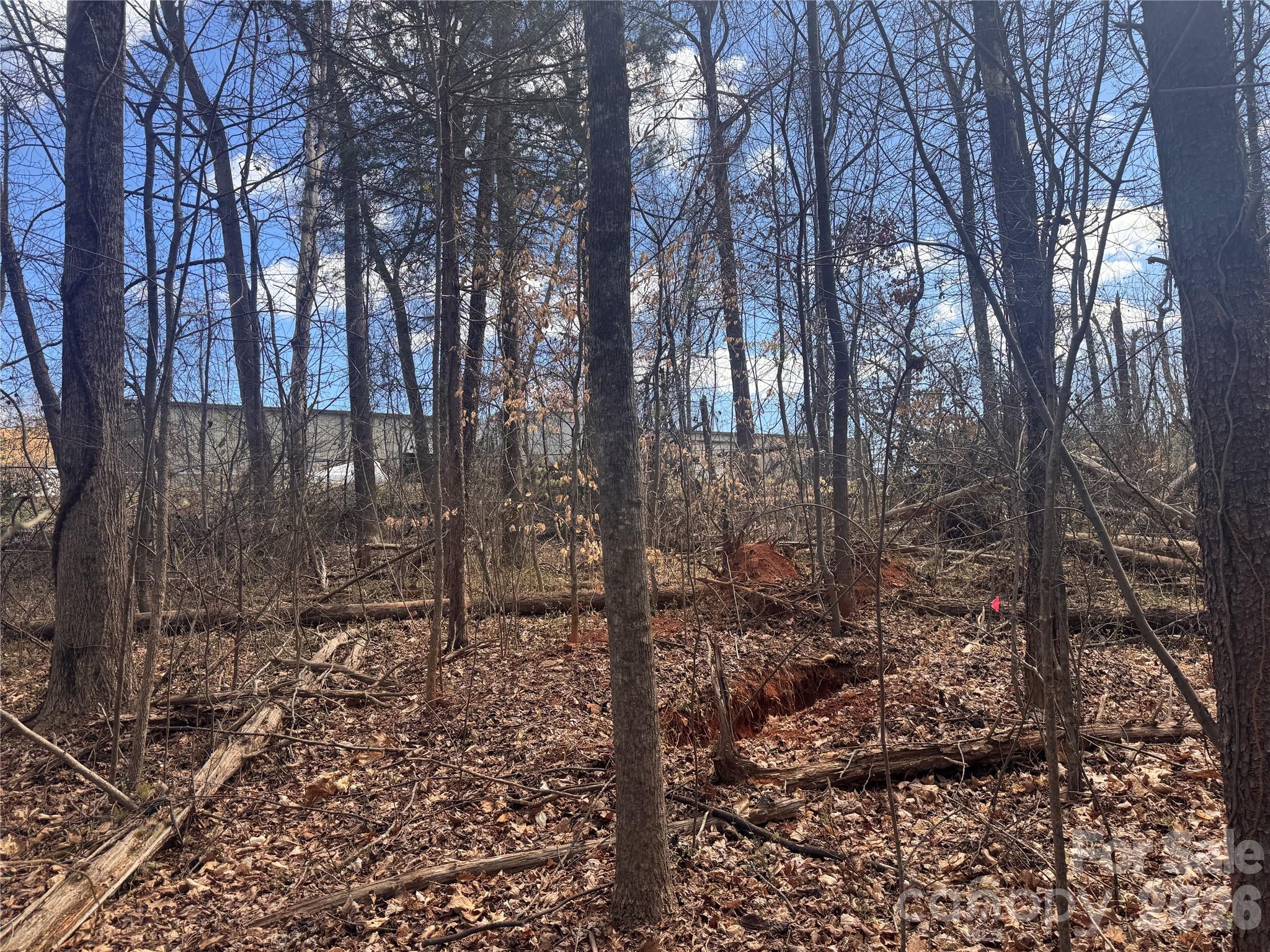 3924 Deer Run Drive NE Conover NC 28613