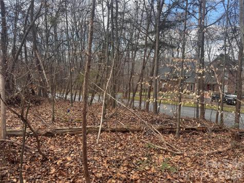 3924 Deer Run Drive NE Conover NC 28613