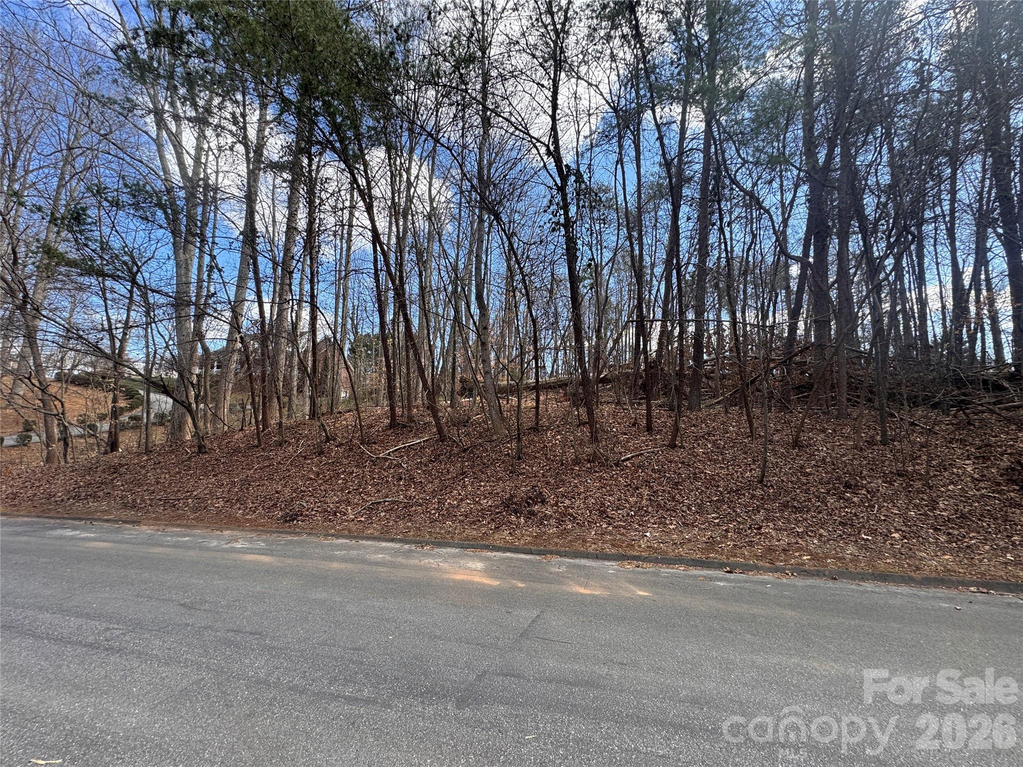 3924 Deer Run Drive NE Conover NC 28613