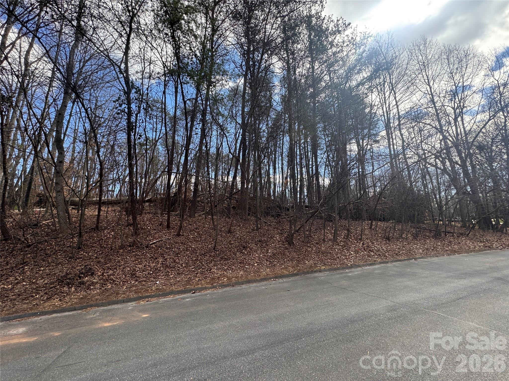 3924 Deer Run Drive NE Conover NC 28613