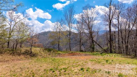 90 Last Coyote Trail Canton NC 28716