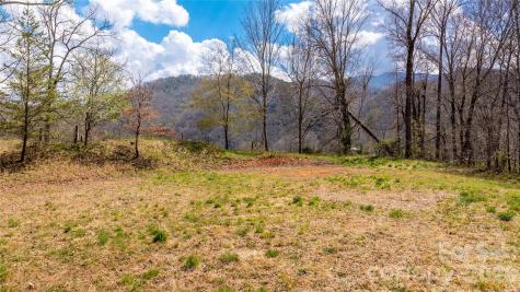90 Last Coyote Trail Canton NC 28716