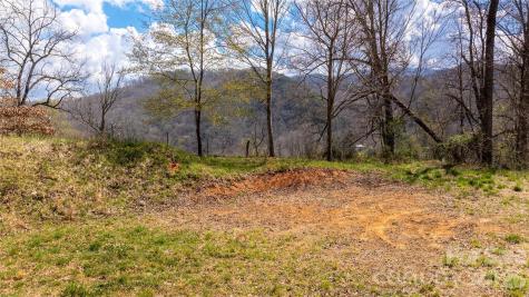 90 Last Coyote Trail Canton NC 28716