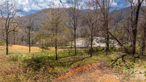 90 Last Coyote Trail Canton NC 28716