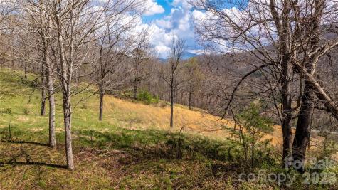 90 Last Coyote Trail Canton NC 28716