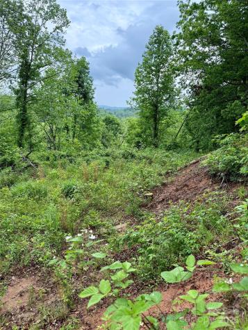 12 Willow Knoll Drive Weaverville NC 28787