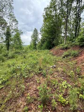 12 Willow Knoll Drive Weaverville NC 28787