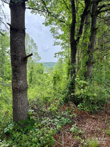 12 Willow Knoll Drive Weaverville NC 28787