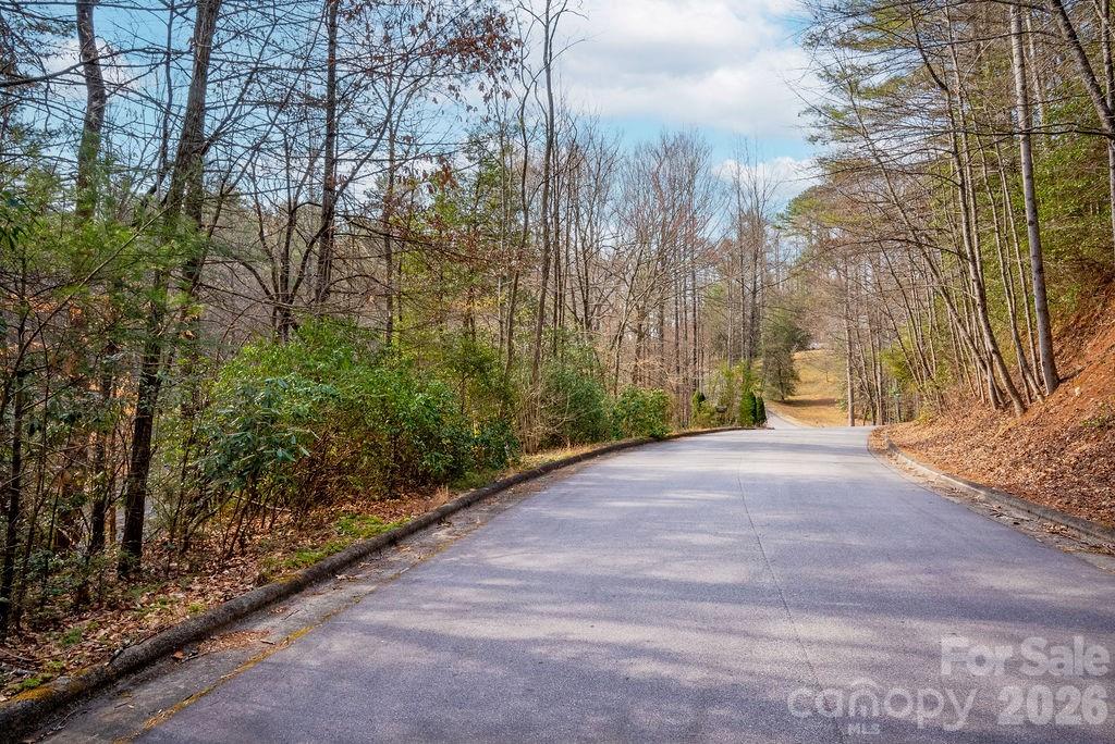 Lot 13 Deerlake Drive Brevard NC 28712