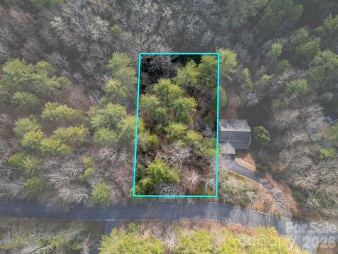 Lot 13 Deerlake Drive Brevard NC 28712