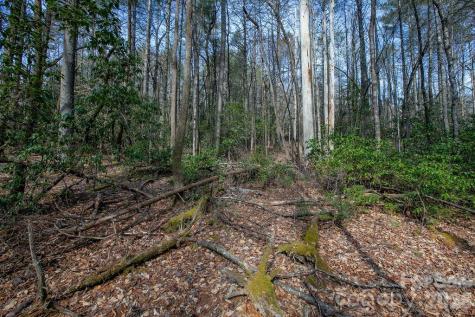 Lot 13 Deerlake Drive Brevard NC 28712