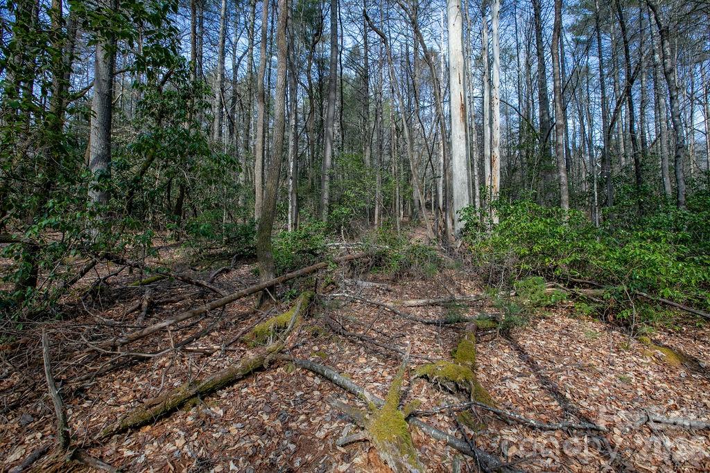 Lot 13 Deerlake Drive Brevard NC 28712