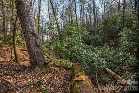 Lot 13 Deerlake Drive Brevard NC 28712