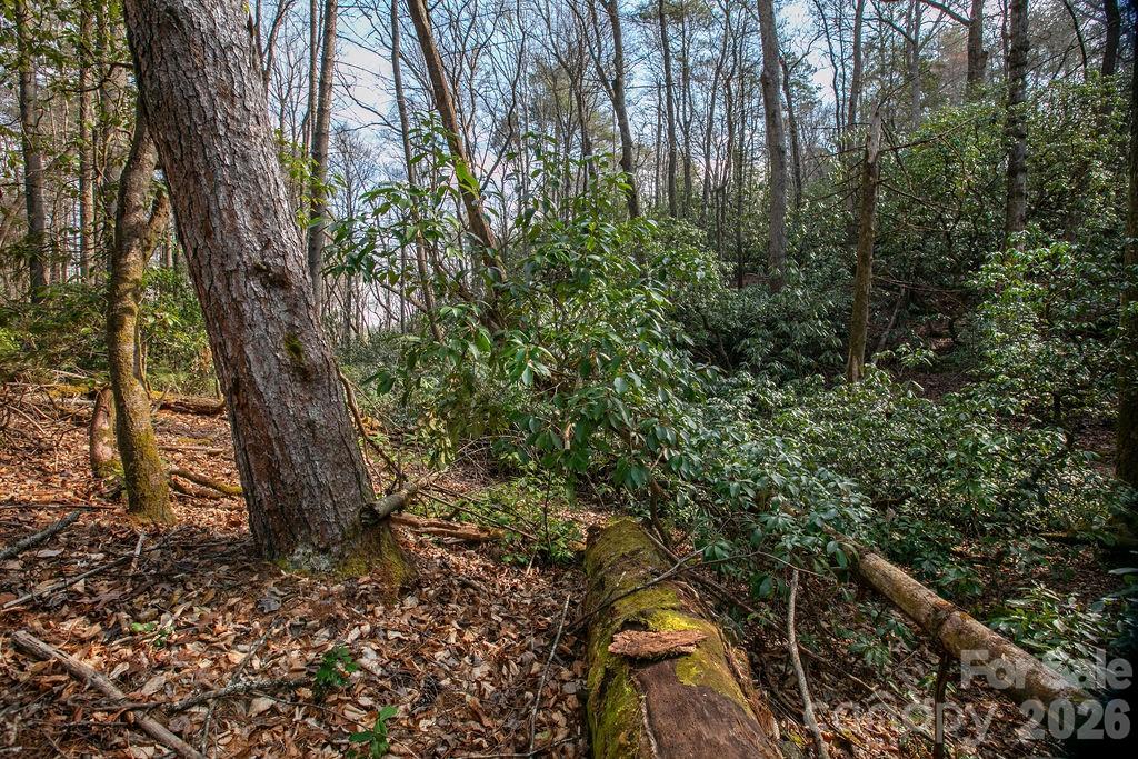 Lot 13 Deerlake Drive Brevard NC 28712