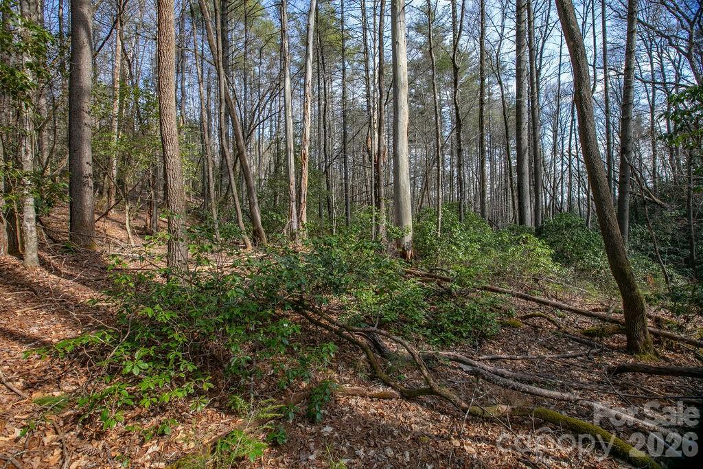 Lot 13 Deerlake Drive Brevard NC 28712