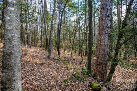 Lot 13 Deerlake Drive Brevard NC 28712