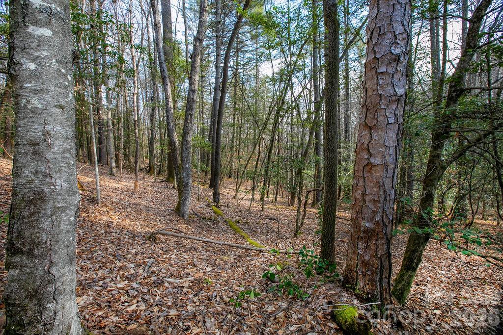 Lot 13 Deerlake Drive Brevard NC 28712