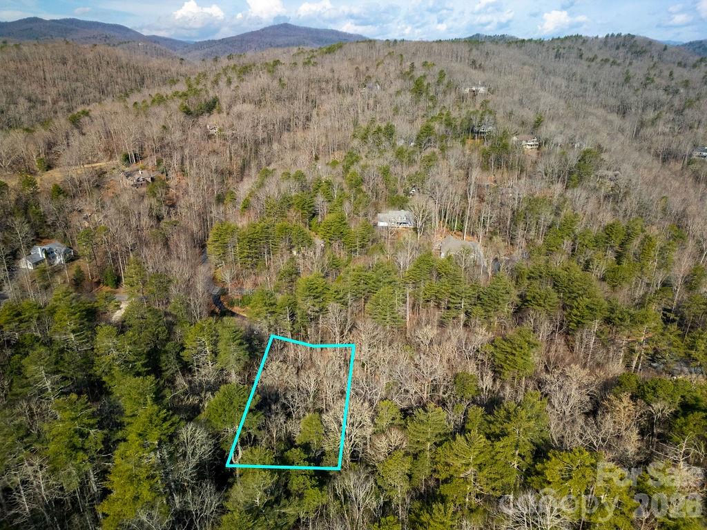 Lot 13 Deerlake Drive Brevard NC 28712