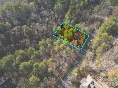 Lot 13 Deerlake Drive Brevard NC 28712