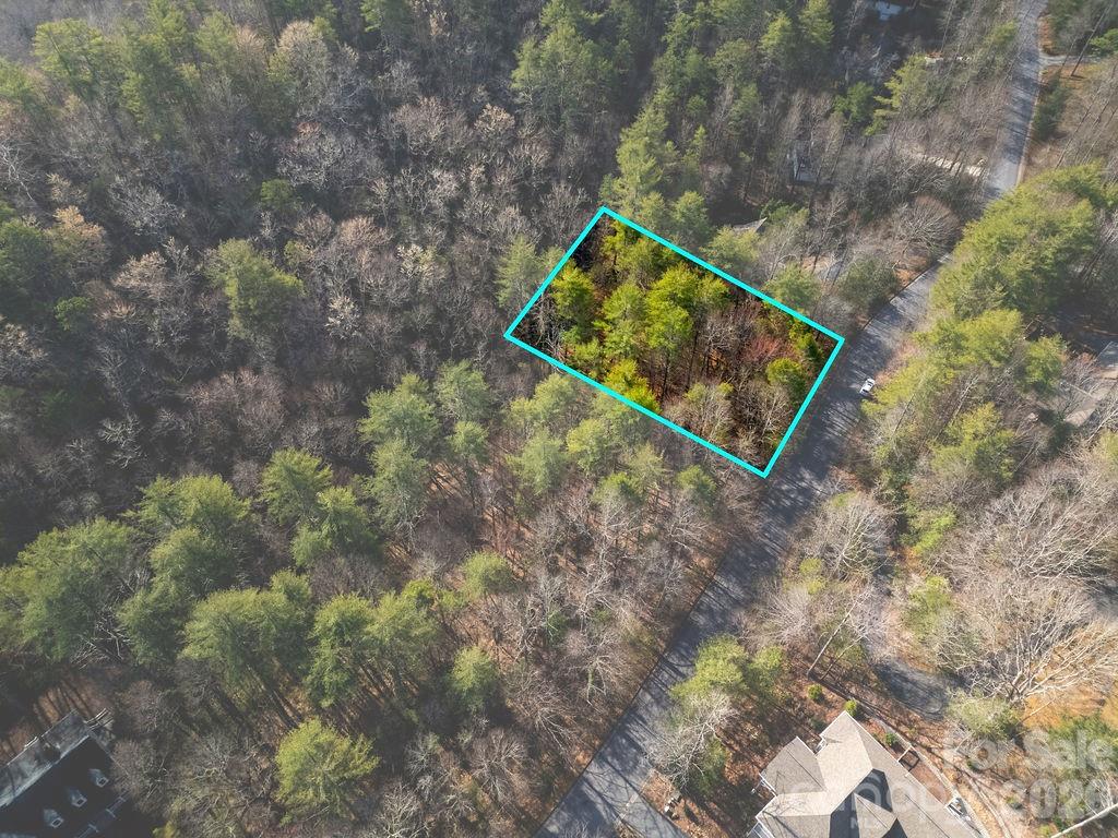 Lot 13 Deerlake Drive Brevard NC 28712