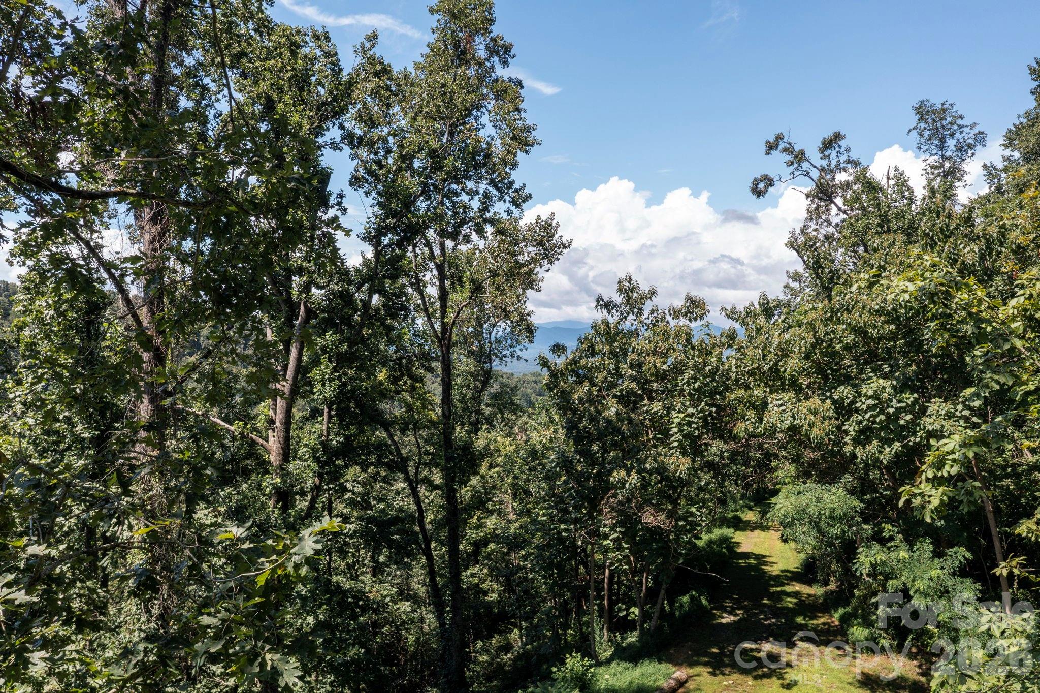 44 Giffords Lane Asheville NC 28803