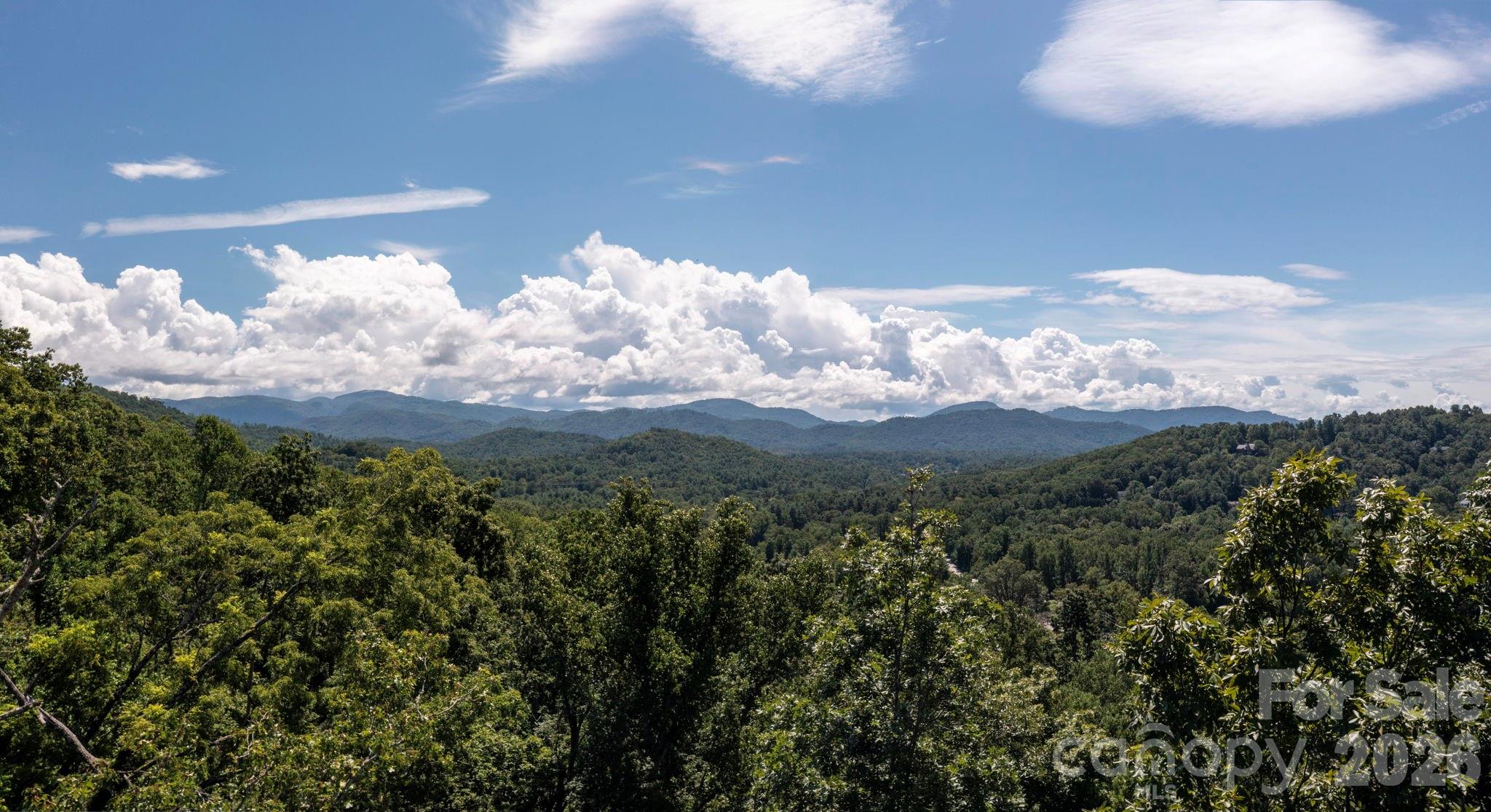 44 Giffords Lane Asheville NC 28803