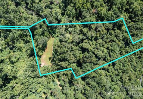 44 Giffords Lane Asheville NC 28803
