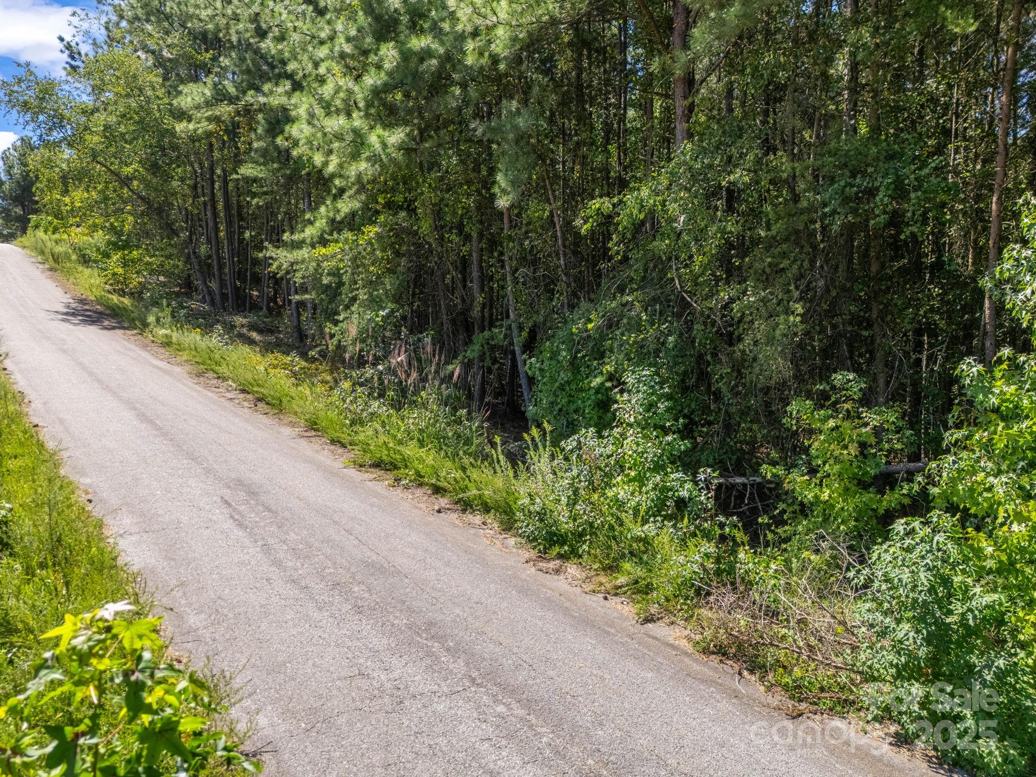 0 Moore Mountain Lane Ellenboro NC 28040