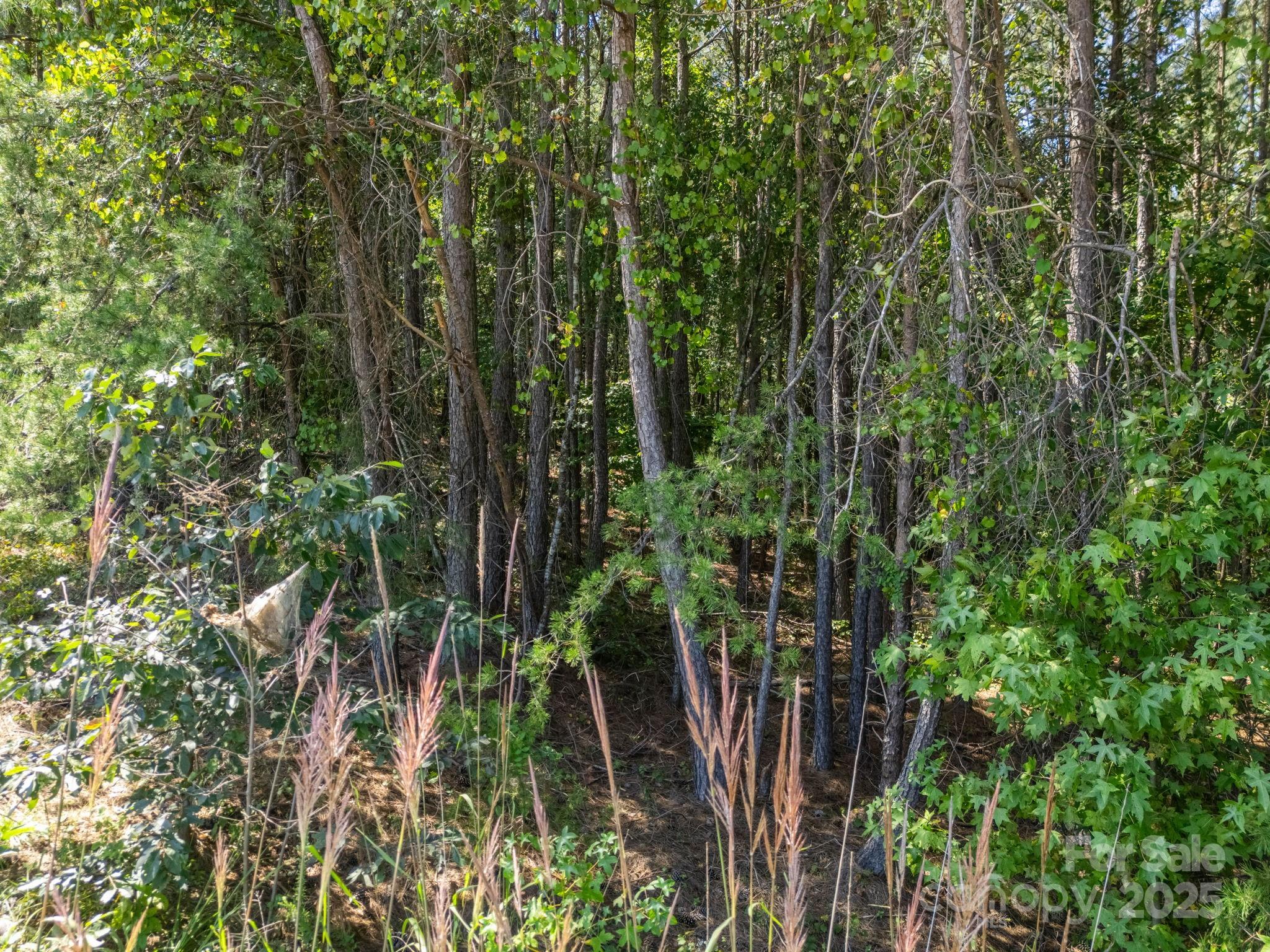 0 Moore Mountain Lane Ellenboro NC 28040