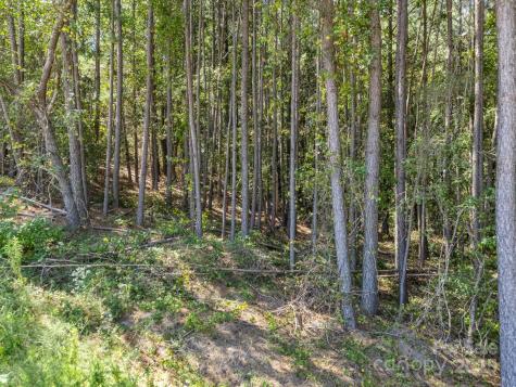 0 Moore Mountain Lane Ellenboro NC 28040