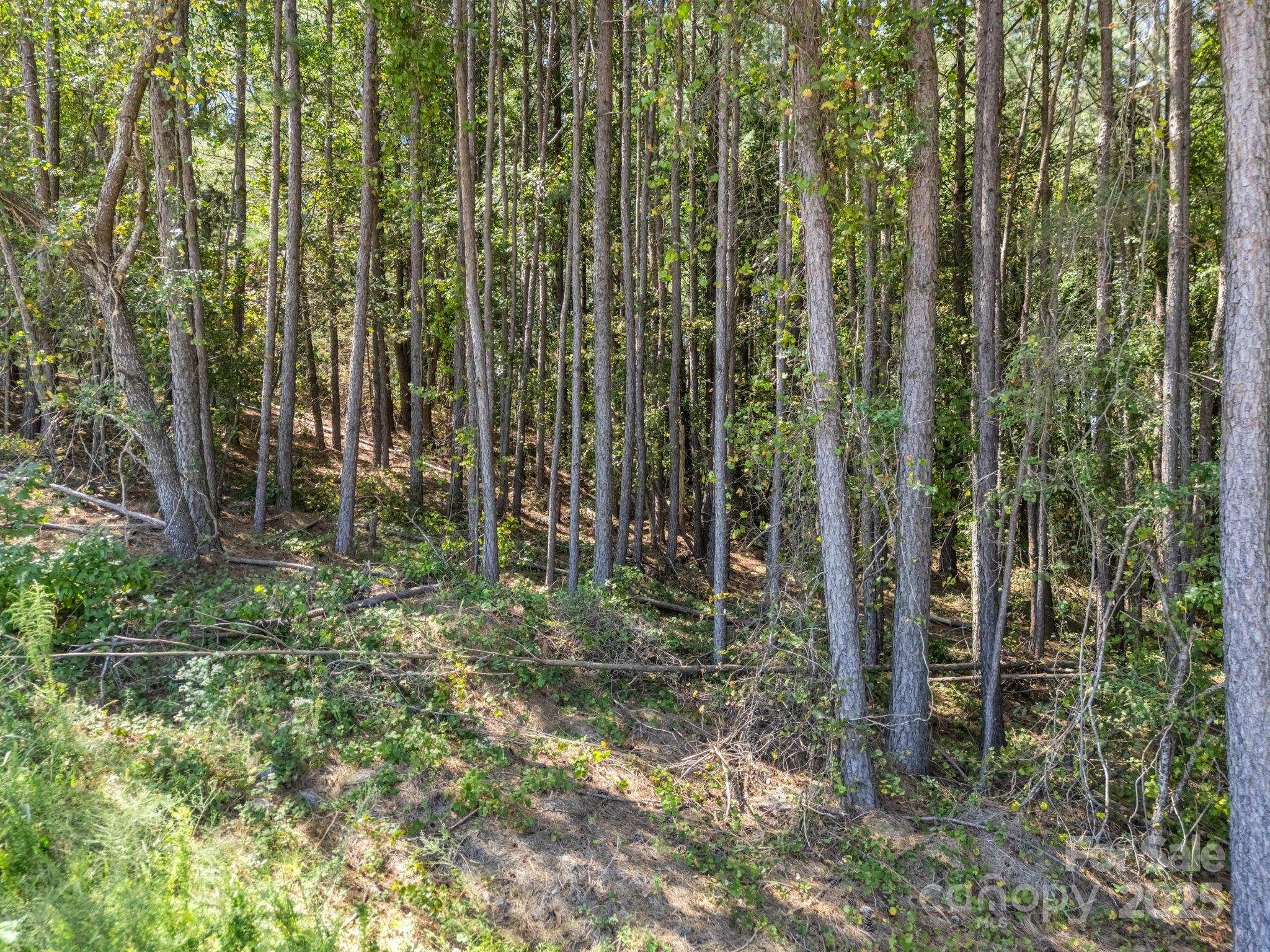 0 Moore Mountain Lane Ellenboro NC 28040