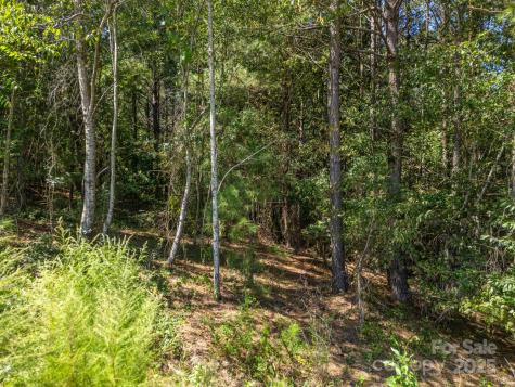 0 Moore Mountain Lane Ellenboro NC 28040
