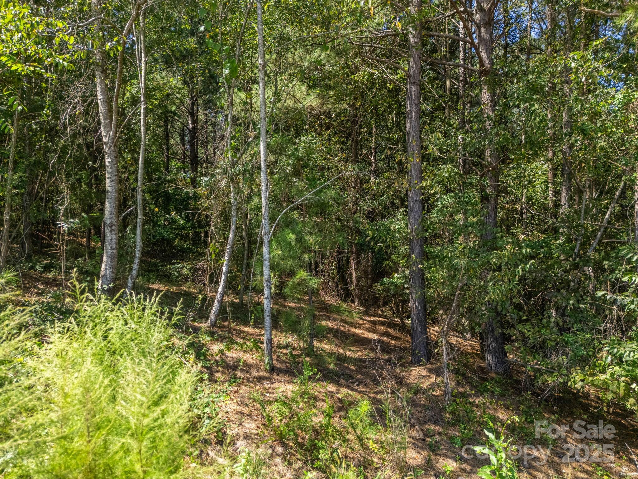 0 Moore Mountain Lane Ellenboro NC 28040
