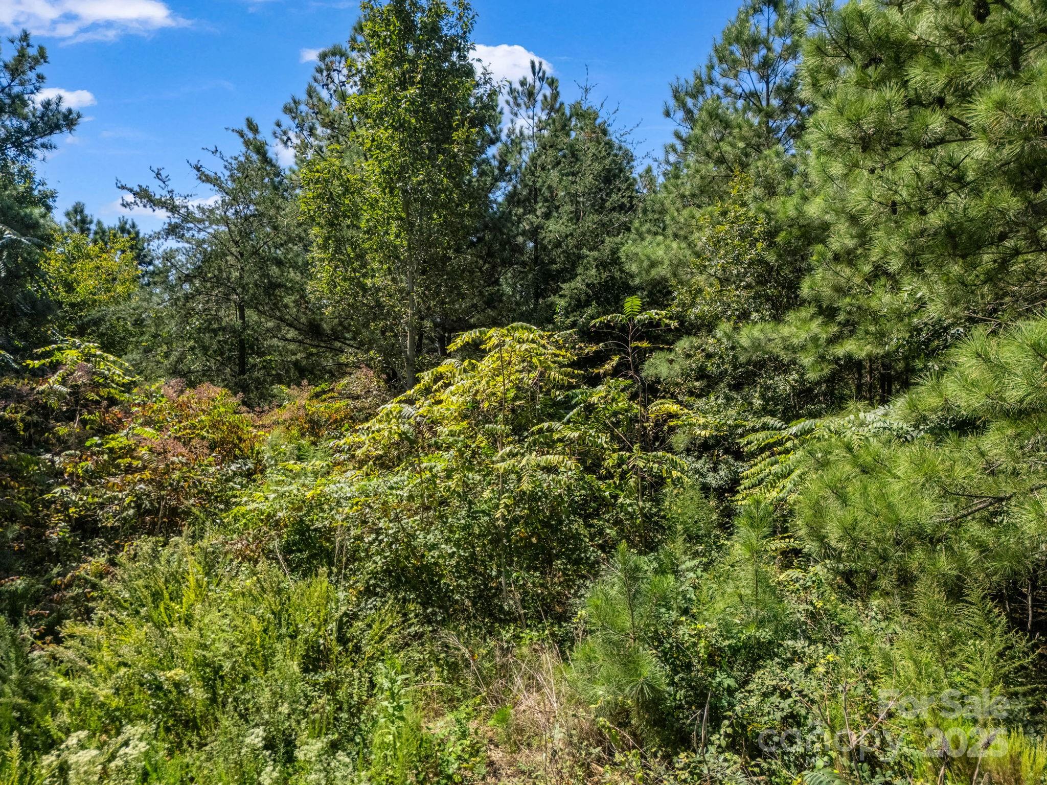 0 Moore Mountain Lane Ellenboro NC 28040