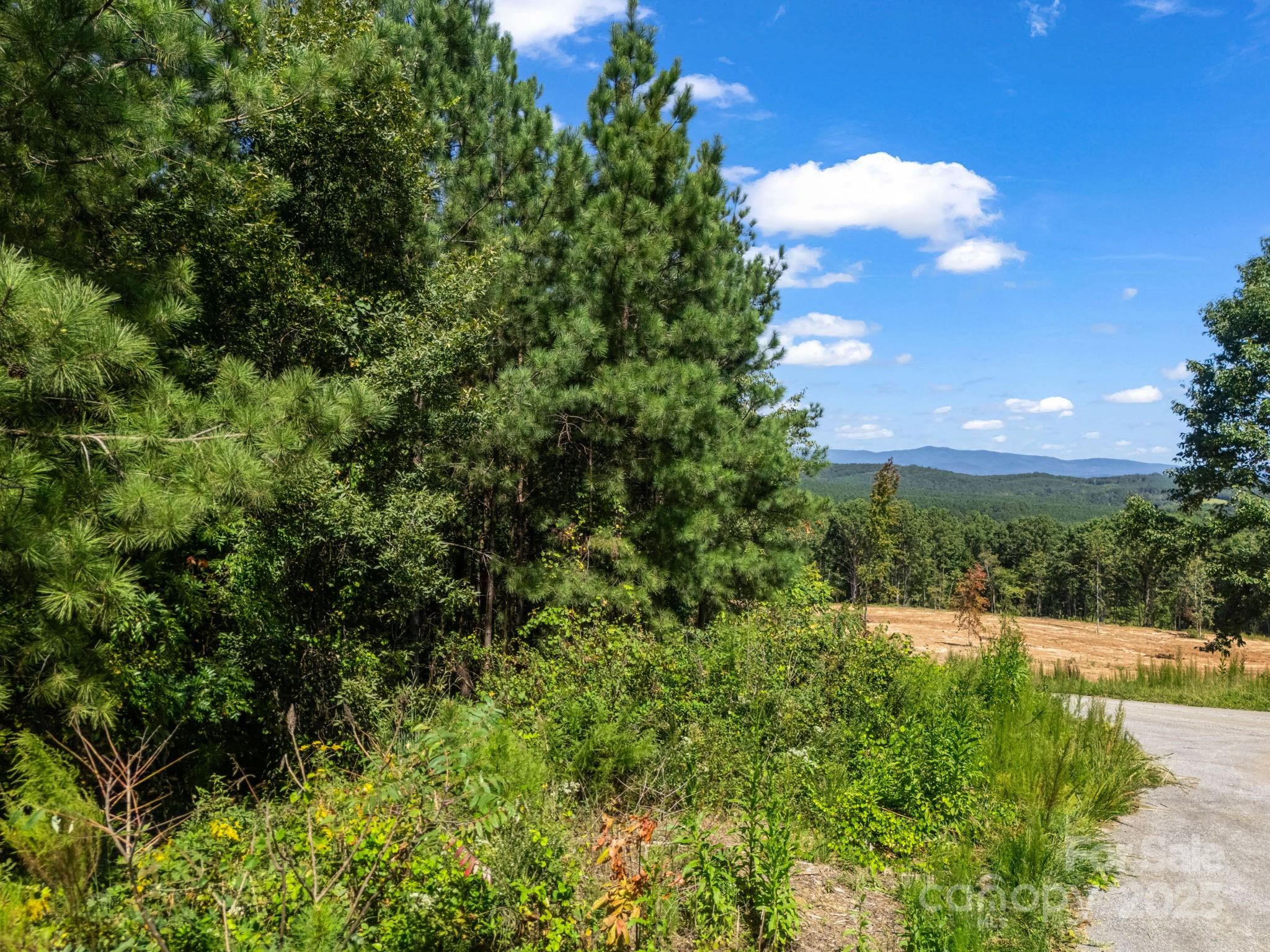 0 Moore Mountain Lane Ellenboro NC 28040